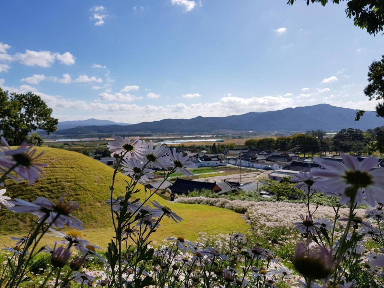Gyeongju Guesthouse Huewon מראה חיצוני תמונה